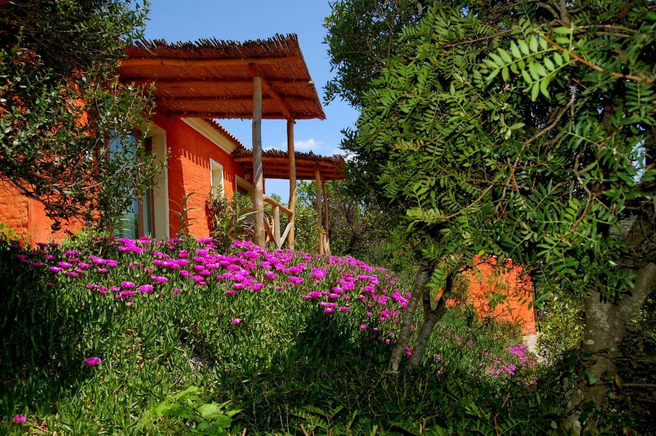 Hotel Aldiola Country Resort Sant'Antonio di Gallura Dış mekan fotoğraf